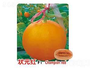 ��Ԫ�tF1-��ϷN��-ʢ���N�I(y��)