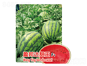 ӯ���_����F1-���ϷN��-ʢ���N�I(y��)