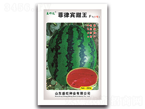 �����e����F1-���ϷN��-ʢ���N�I(y��)