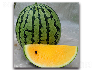 ���m-���ϷN��-ʢ���N�I(y��)