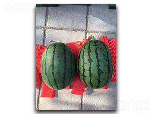 ����2K-���ϷN��-ʢ���N�I(y��)