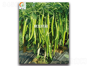 ���Ѻ���-�����N��-ʢ���N�I(y��)