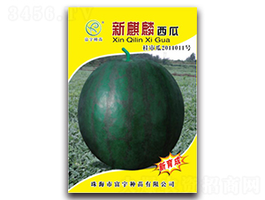 ����������-���ϷN��-����N��