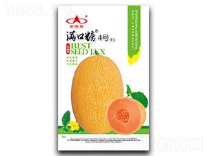 �M����4̖(h��o)-��ϷN��-��¡��