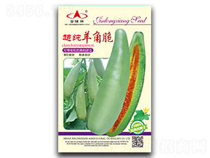 ������Ǵ�-��ϷN��-��¡��