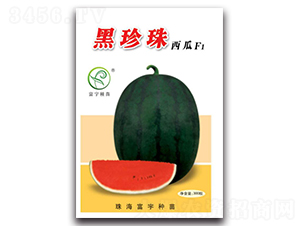 ����������F1-���ϷN��-����N��