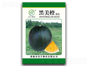 ����������-���ϷN��-����N��