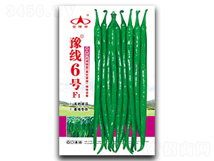 ԥ��6̖-�����N��-��¡��