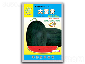 ���F���������-���ϷN��-����N��