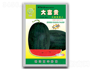 ���F-���ϷN��-����N��