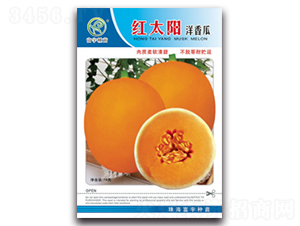 �t̫�(y��ng)�����-��ϷN��-����N��