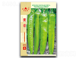 �S��-�����N��-��¡��