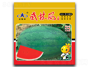 �����L(f��ng)-���ϷN��-��¡��