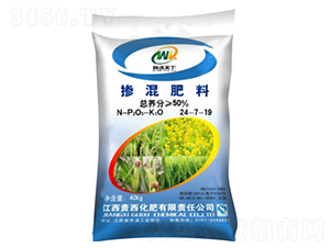 �������24-7-19-��������-�F������