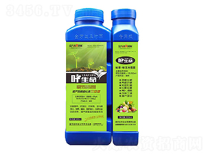 �ݲݡ�����ľù��-�~����-���f�_���r��