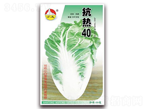 ����40-�ײ˷N��-�|���N�I(y��)