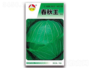 ������-���{(l��n)�N��-�|���N�I(y��)