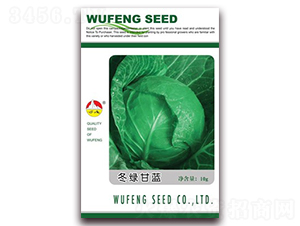 ���G���{-���{�N��-�|���N�I(y��)