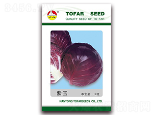 ����-���{�N��-�|���N�I(y��)