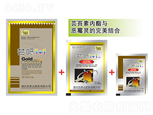 �|���f1+1-�����_