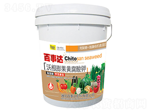 �ָ�����S�����-�����_(d��)