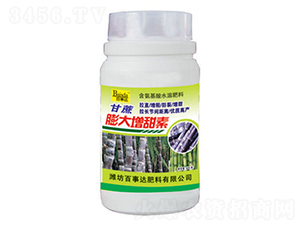 �������������-�����_(d��)