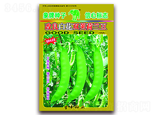 �����׻��p�v���m����888��-���m���N��-���S�N�I(y��)