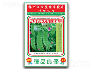 ��t����-�����N��-���S�N�I(y��)