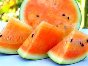 WA14-���ϷN��-�G�x�N�I(y��)