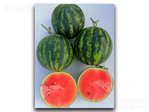 WA12-���ϷN��-�G�x�N�I(y��)