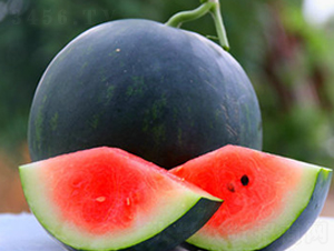 WA06-���ϷN��-�G�x�N�I(y��)