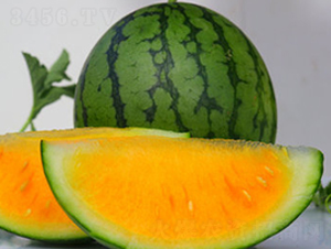 WA02-���ϷN��-�G�x�N�I(y��)