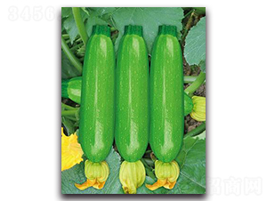 SA05-�����J�N��-�G�x�N�I(y��)