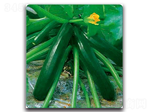 SA03-�����J�N��-�G�x�N�I(y��)