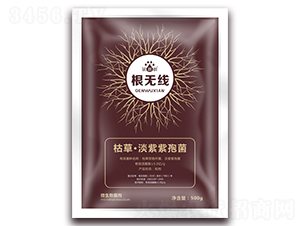 ���o����΢���������-��p�p-�������