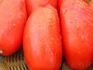 TA13-���ѷN��-�G�x�N�I(y��)