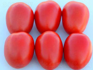 TA12-���ѷN��-�G�x�N�I(y��)