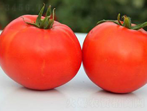 TM199-���ѷN��-�G�x�N�I(y��)