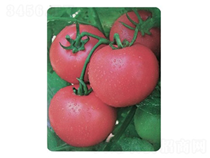 TA10-���ѷN��-�G�x�N�I(y��)