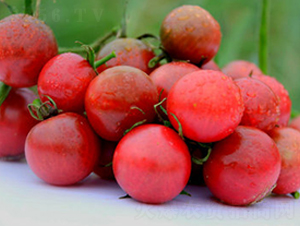 TA01-���ѷN��-�G�x�N�I(y��)