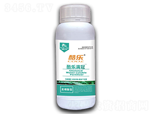 �ᘷ�M��-����