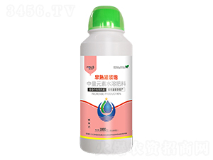 ������{�-ܽ������