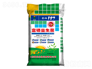 ����������-��������