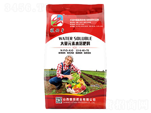 ����Ԫ��ˮ�ܷ���13-6-40+TE-���ʘI(y��)