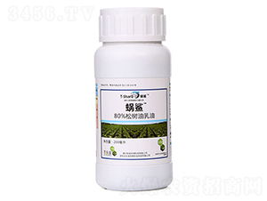 80%�ɘ�������-΁��-�٘���