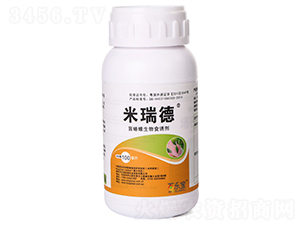 ä�������ʳ�T��-�����-�٘���