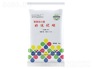 ���\(y��n)��(y��u)��-�Õr(sh��)��