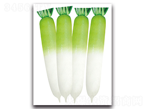 �����~-�}���N��-���}�r(n��ng)�I(y��)