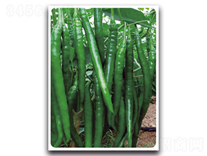 �ھ�9̖-�����N��-���}�r(n��ng)�I(y��)