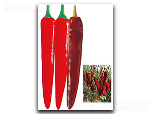 ��G̽��-�����N��-���}�r(n��ng)�I(y��)